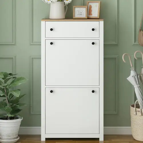 WashSneak - Shoe Cabinet