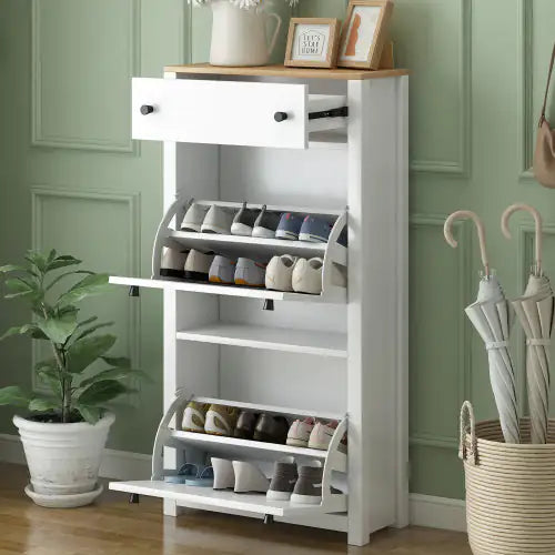 WashSneak - Shoe Cabinet